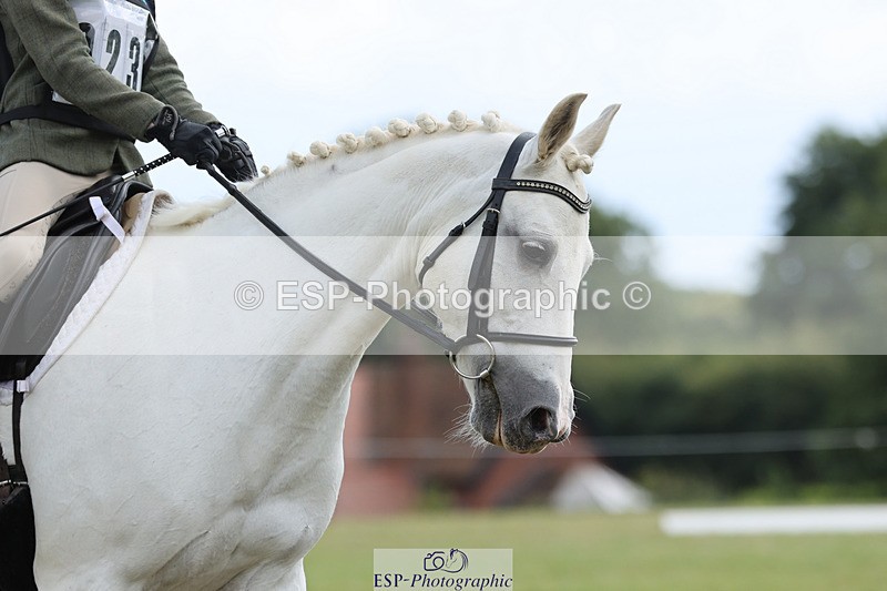 240824X-132218-27298 - D80 Section G and H 12.00 to 13.30