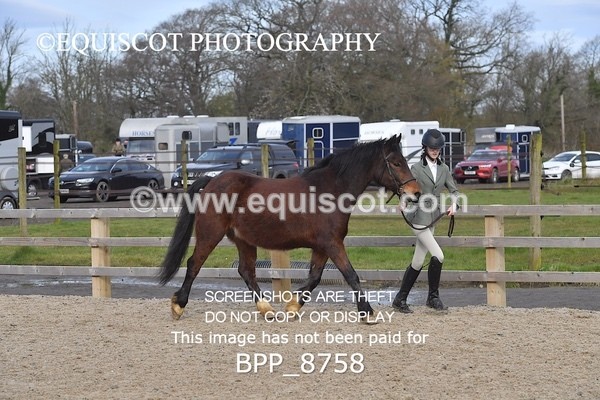 BPP_8758 - RING 2 - M&M