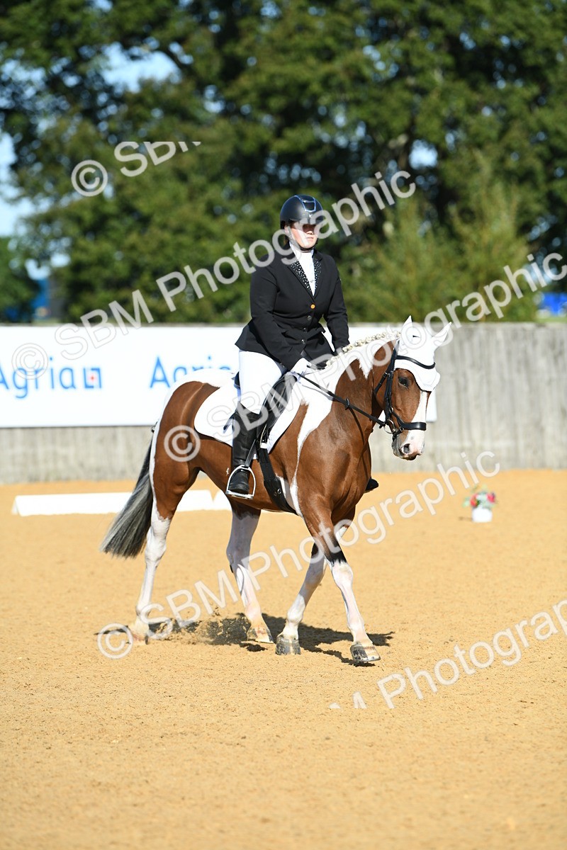 SBM_17901 - D4 - Small Tour Championship - Intro B