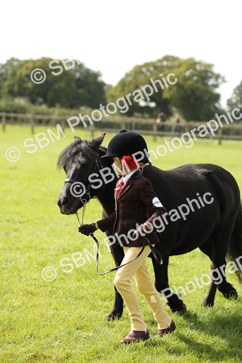 SBM_67762 - S39 - Junior Handler 8  Years & Under
