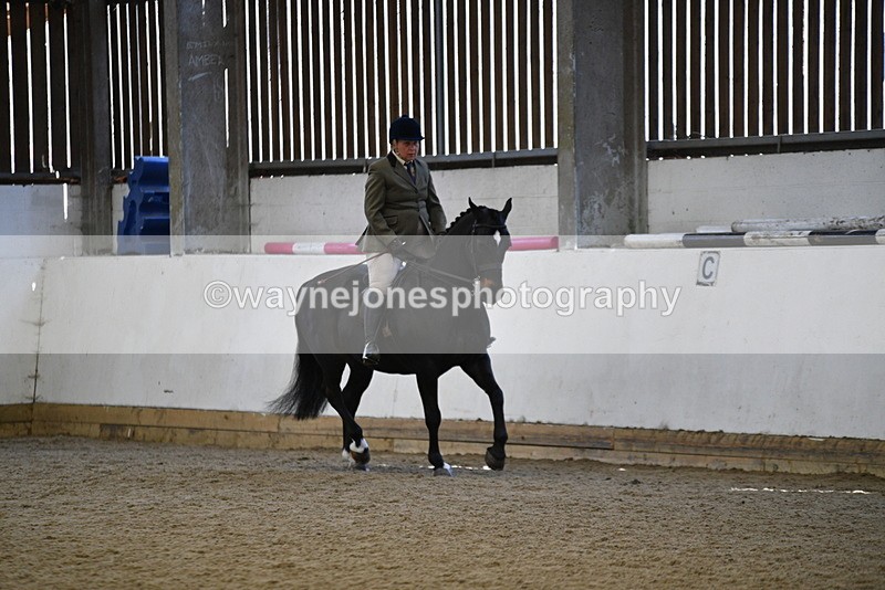 WJ5_5910 - Class 9 Ridden Veteran