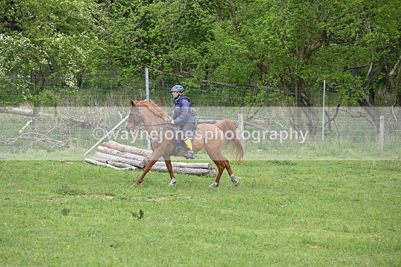 WJ6_3219 - A camera