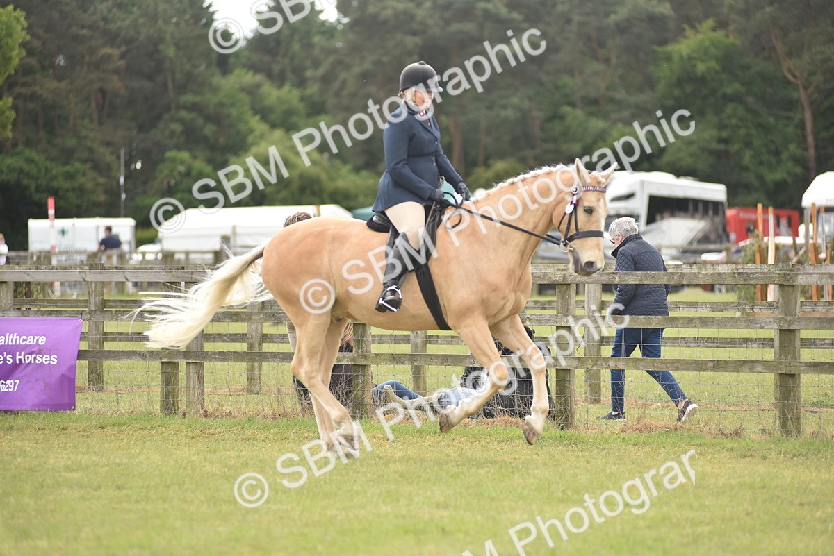SBM_15932 - Class 117-122 - SSADL RIHS Qualifier