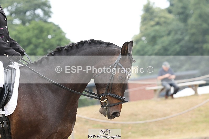 250718A-101558-00500 - 011-Grace.Nicholson-Berch.paradise