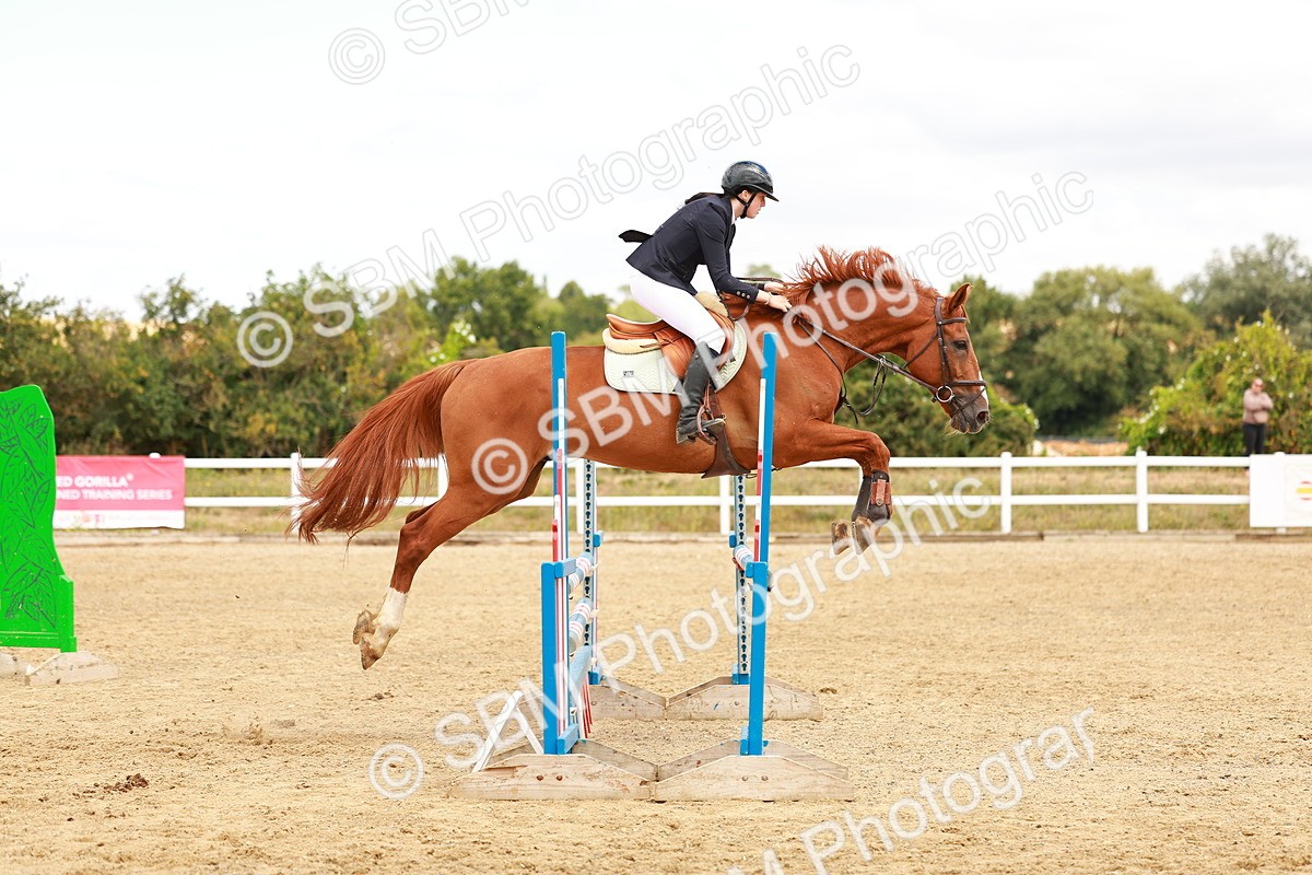 SBM_005630 - Class 2 - Senior British Novice - 90cm