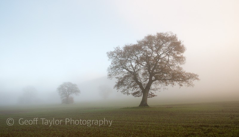 Wolverton - Wenlock Edge
