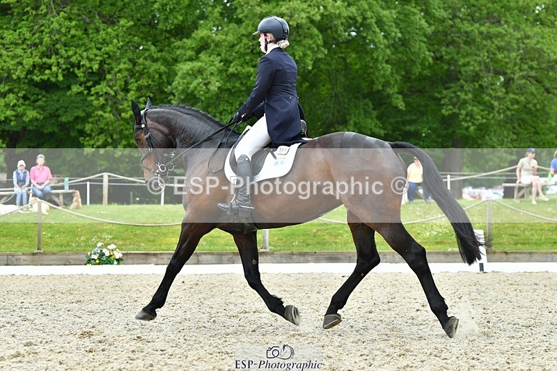 230525-124138-04252 - 209-MONBEG_EBONY-Molly_Fletcher-WEDTrotUp+DR