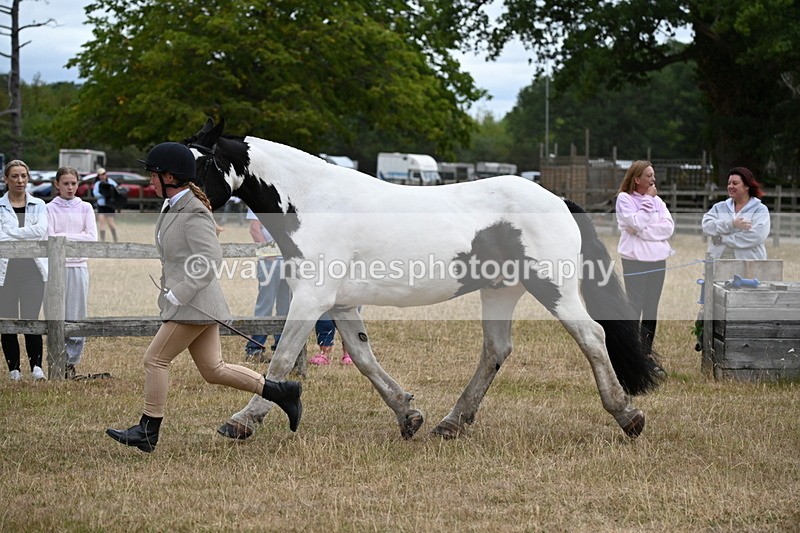 WJ6_8386 - Class 10 Coloured in Hand
