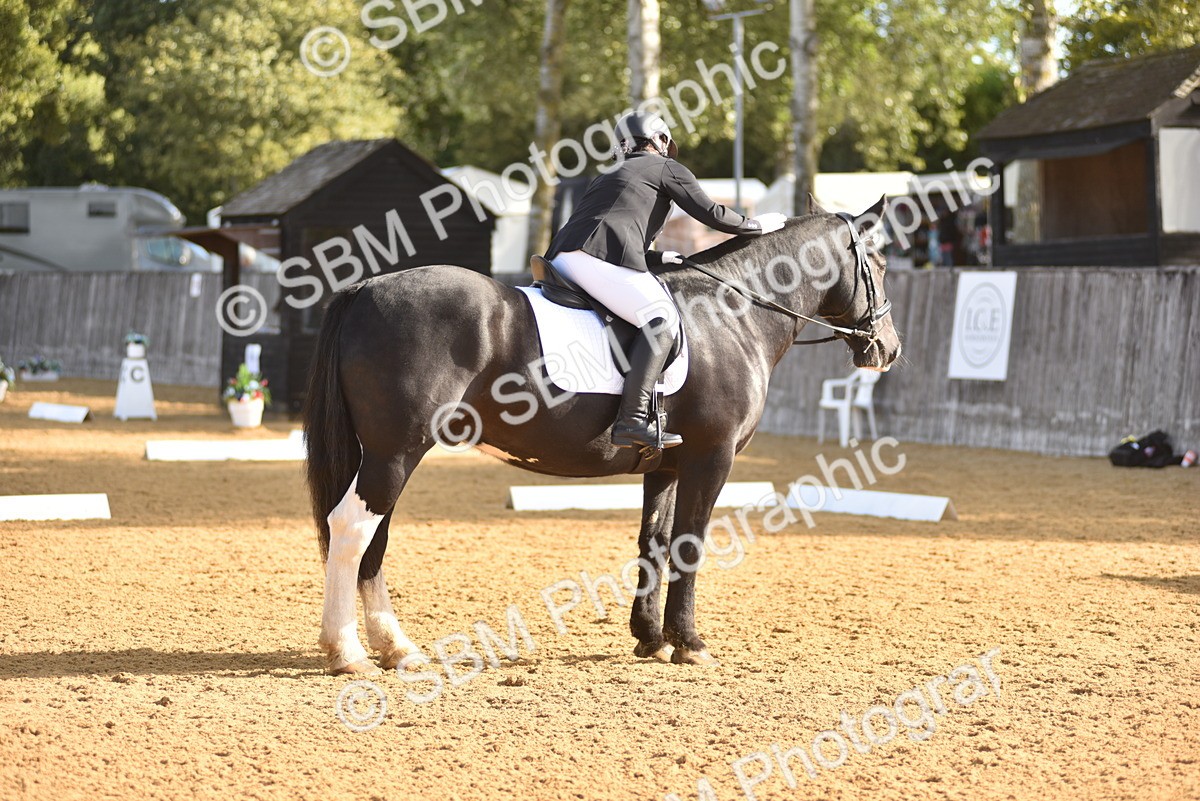 SBM_15791 - D4 - Small Tour Championship Intro 4
