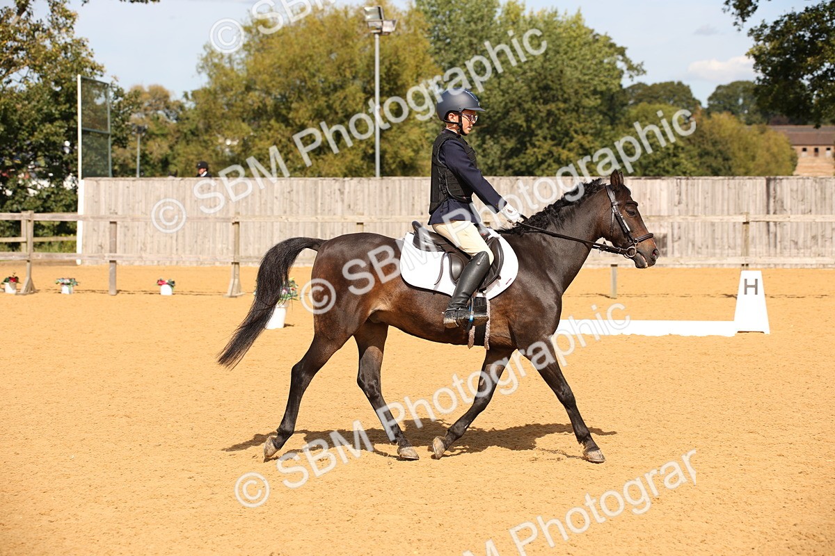 SBM_21817 - D5 - Small Tour Championship - Intro C