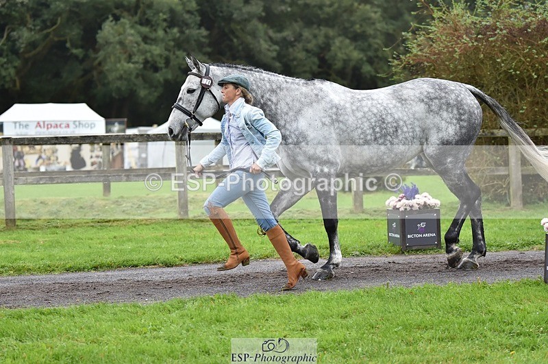 231018-122012-00217 - 028-BOLEYBAWN.COOLEY.LADY-Claire.Fielding-TrotUp