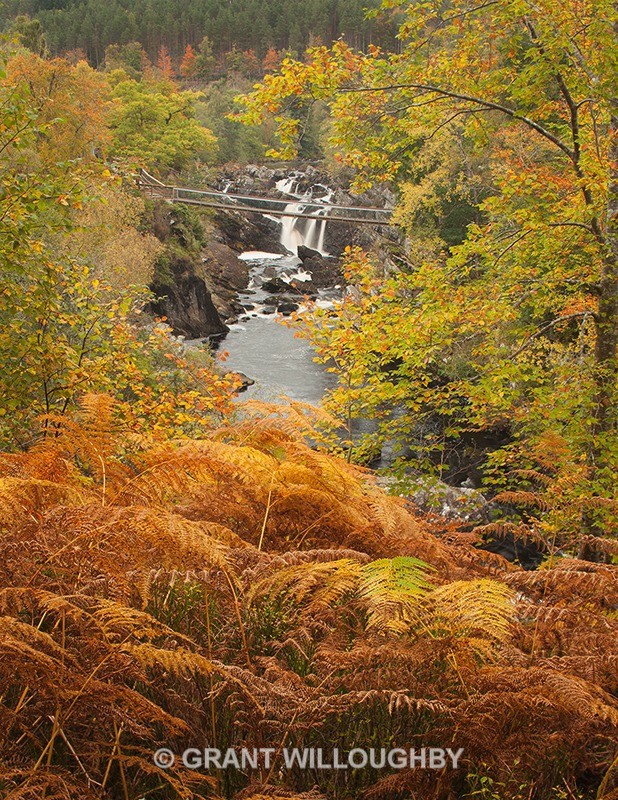 Rogie Falls by Contin - Woods Trees Gorges and Waterfalls