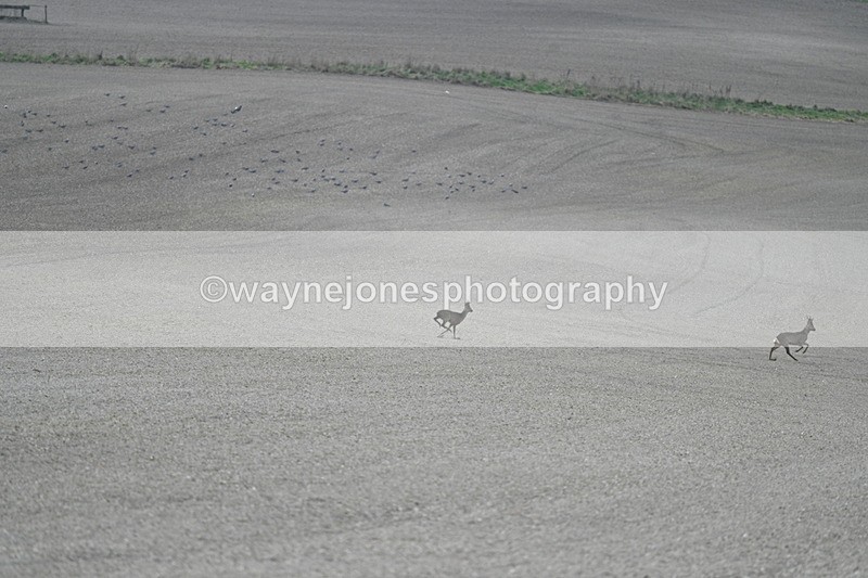 WJ7_7972 - Line 2 A camera