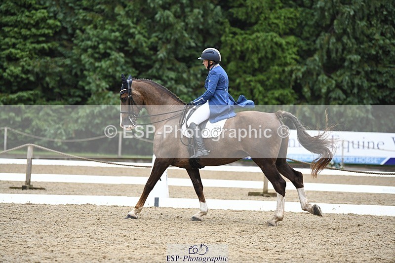 240720-160207-06348 - 142-Amberley_Pugsley-Hero_A