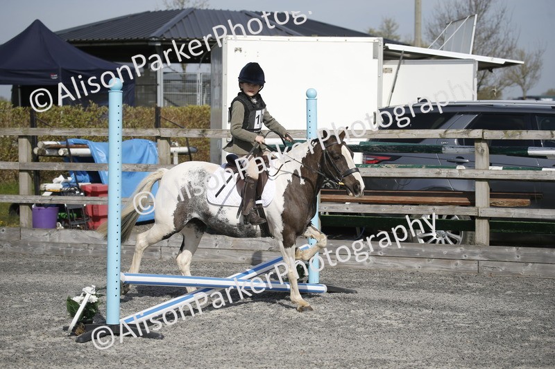 20250412-0253 - Show Jumping