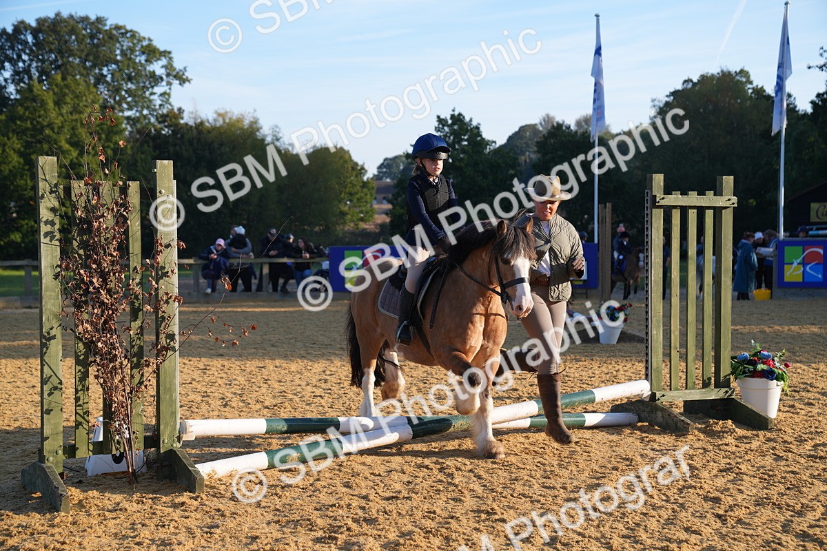 SBM_58932 - J63 - Minis Clear Round 30cm 40cm