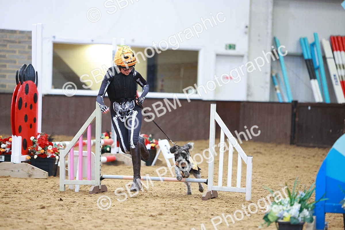SBM_001619 - Class 3 - Horse & Hound (60cm)