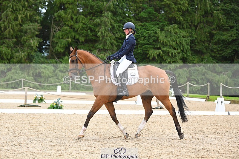 230813-133349-07596 - Cls 13 Medium Bronze 13.15 to End