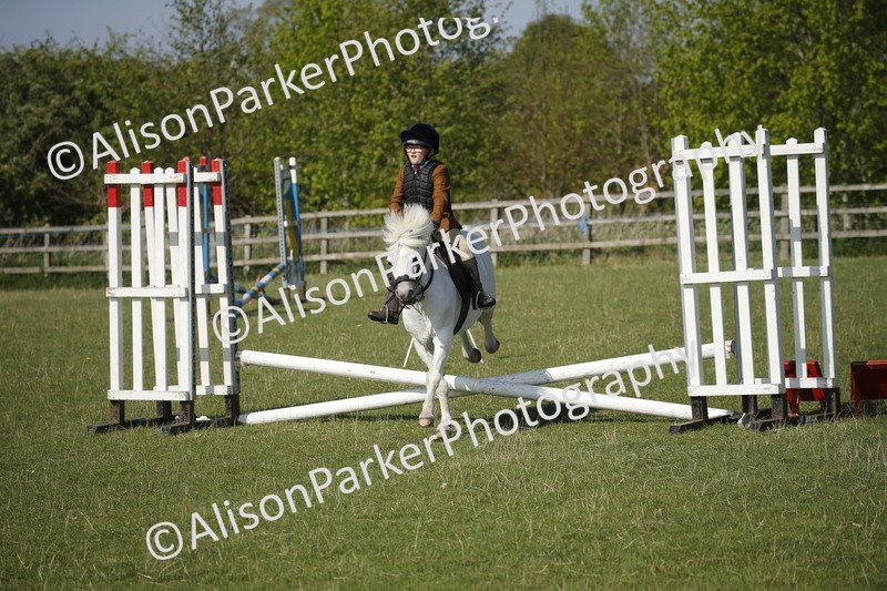 20250427-0424 - Class 12 - Rookie Jumping 40cm