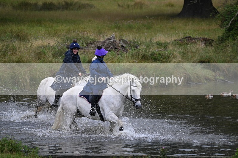 WJ7_6713 - Time at Water 09:30 to 10:00