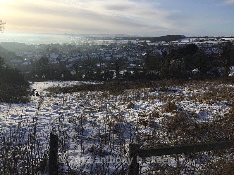 028. View looking down on Kirkbymoorside. - Third Saturday Walks Collection Two.