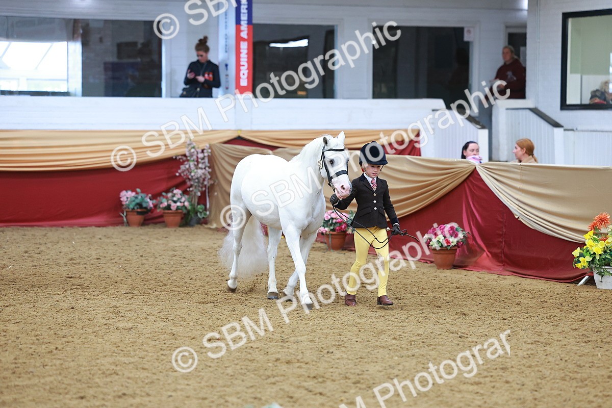 SBM_10726 - Class 103 - HOYS Veteran Qualifier - Ridden Pre Vet