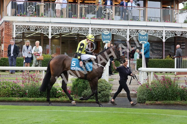 yr22072022r2-12 - Race 2 5.50pm eventmasters.co.uk Stakes