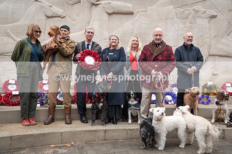Z62_4688 - Animals In War Memorial 2025 - Park Lane, London