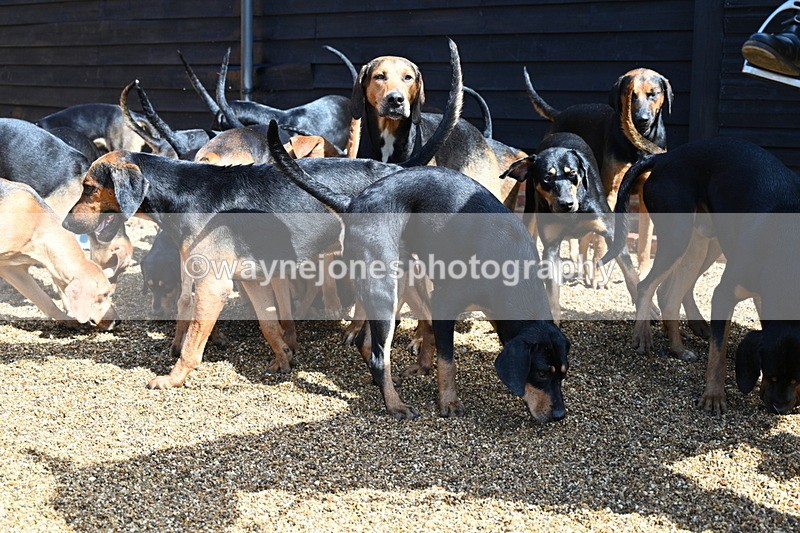 WJ7_7081 - Berks & Bucks at Blandy’s Farm 31-08-25