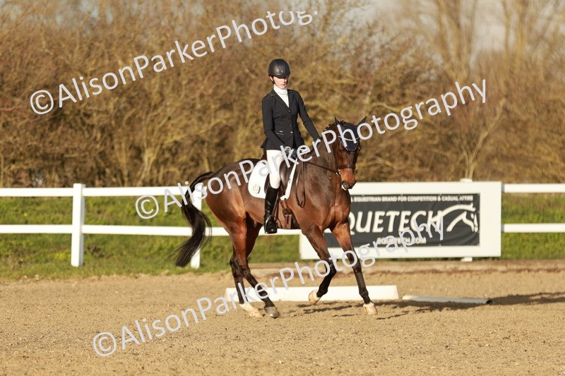 20260314-6368 - CT7 - Elementary 2