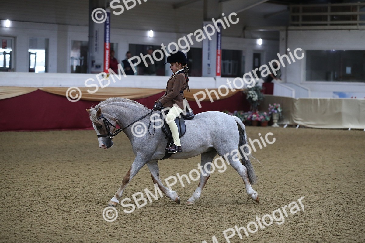 SBM_09296 - Class 101 Equitation (best rider), Junior