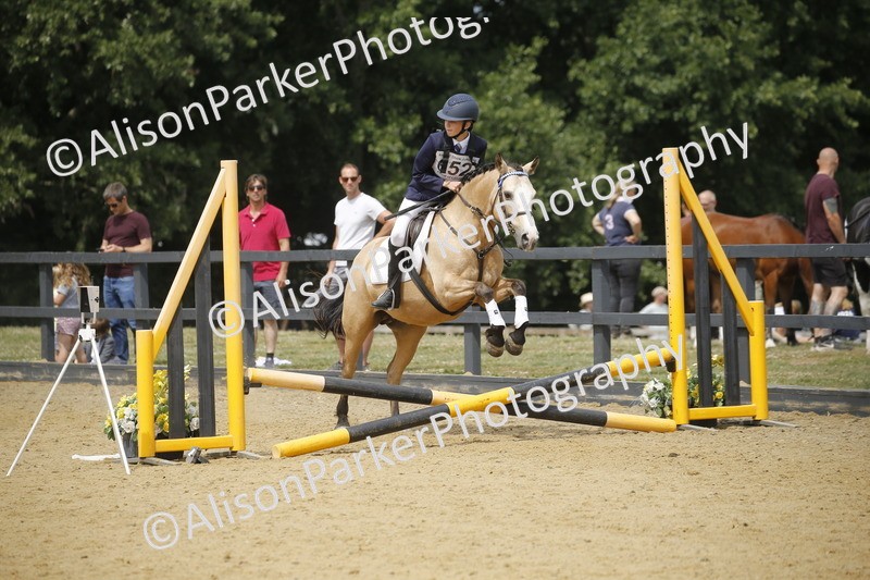 20250622-4650 - 50cm