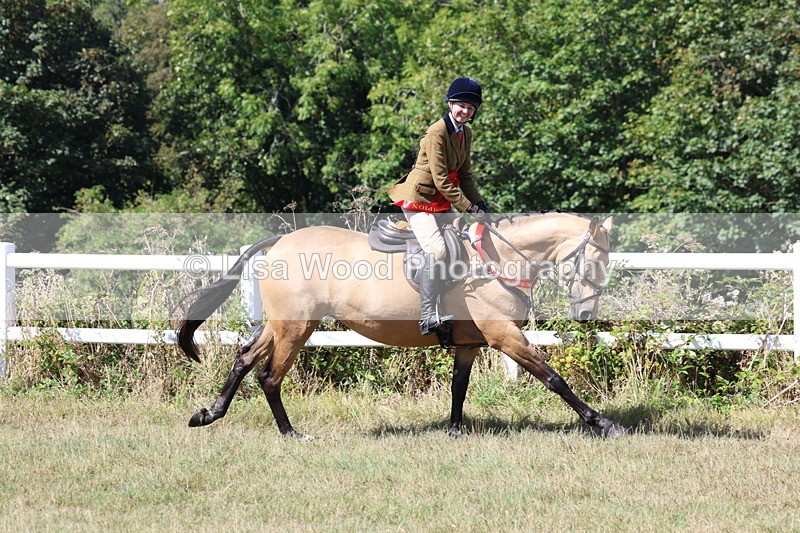 3E7A6492 - Working Hunter Championship