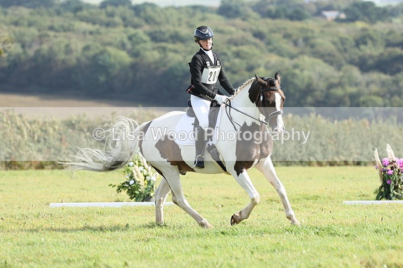 JPP_8131 - Class 2A: Trekenning Open: Dressage