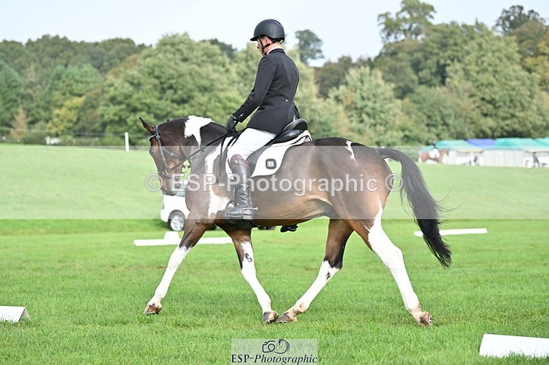 231020-103821-07669 - 640-UP.TO.MISCHIEF-Will.van.Ufford-DR