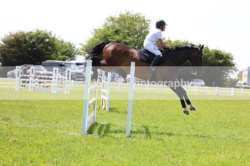 3E7A1311 - Class 12: Senior Foxhunter/1.20 open