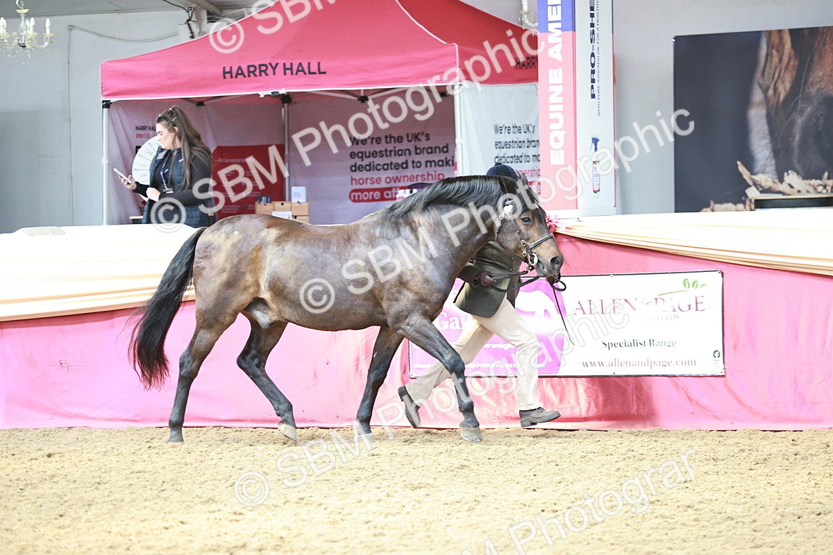 SBM_04735 - Class 7R - Regional IH Diamond