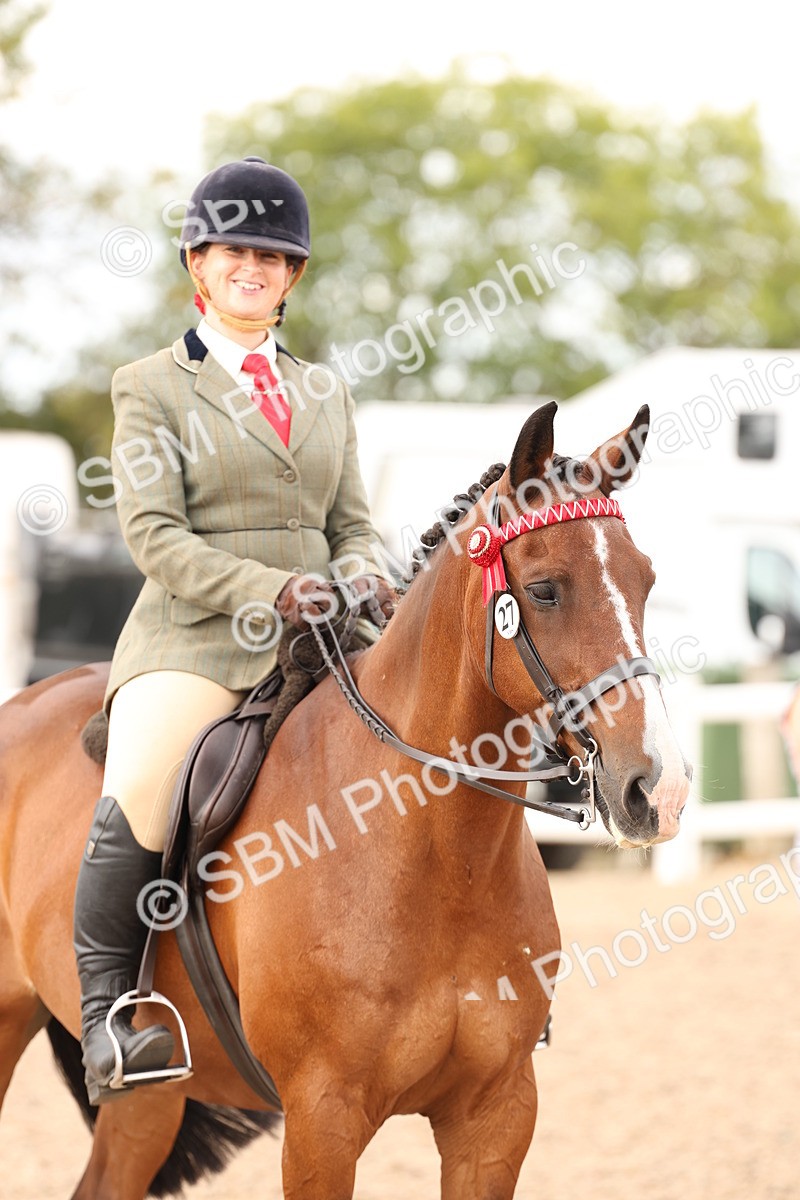 SBM_17362 - Class 214 - Ridden Hack Riding Horse