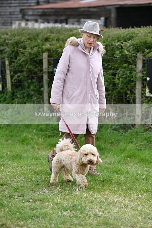 WJ5_9074 - Class 1 Best Cross Breed / Heniz 57