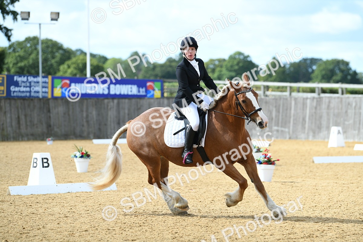 SBM_03120 - D7 Small Tour Championship Prelim 1