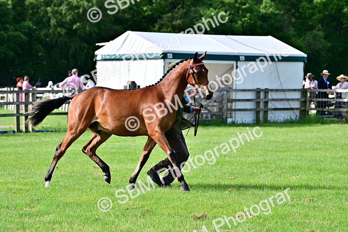 SBM_00094