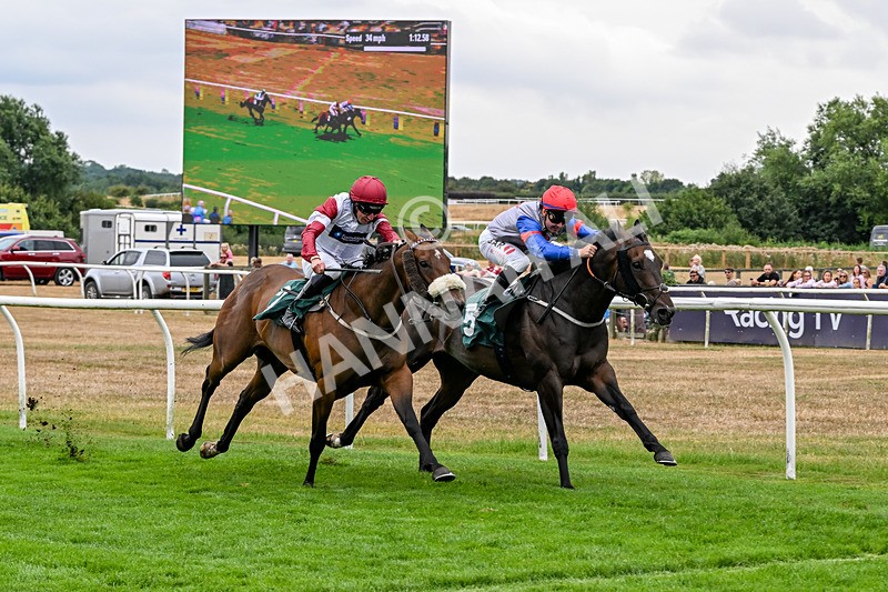 170826-Race 3-Quercus-9369 - Race 3 15.15pm Chapman Milestones Celebration, Thank You NHS Handicap