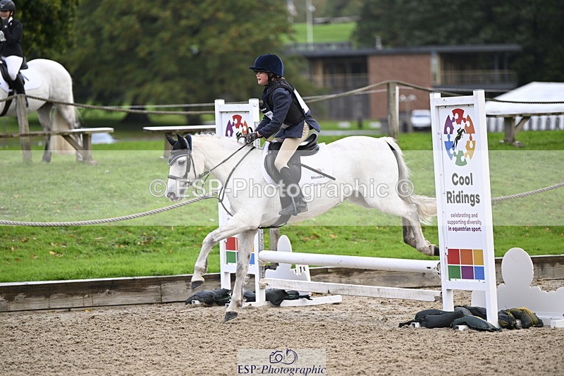 251005A-085204-02873 - Cls 02 GR 50cm