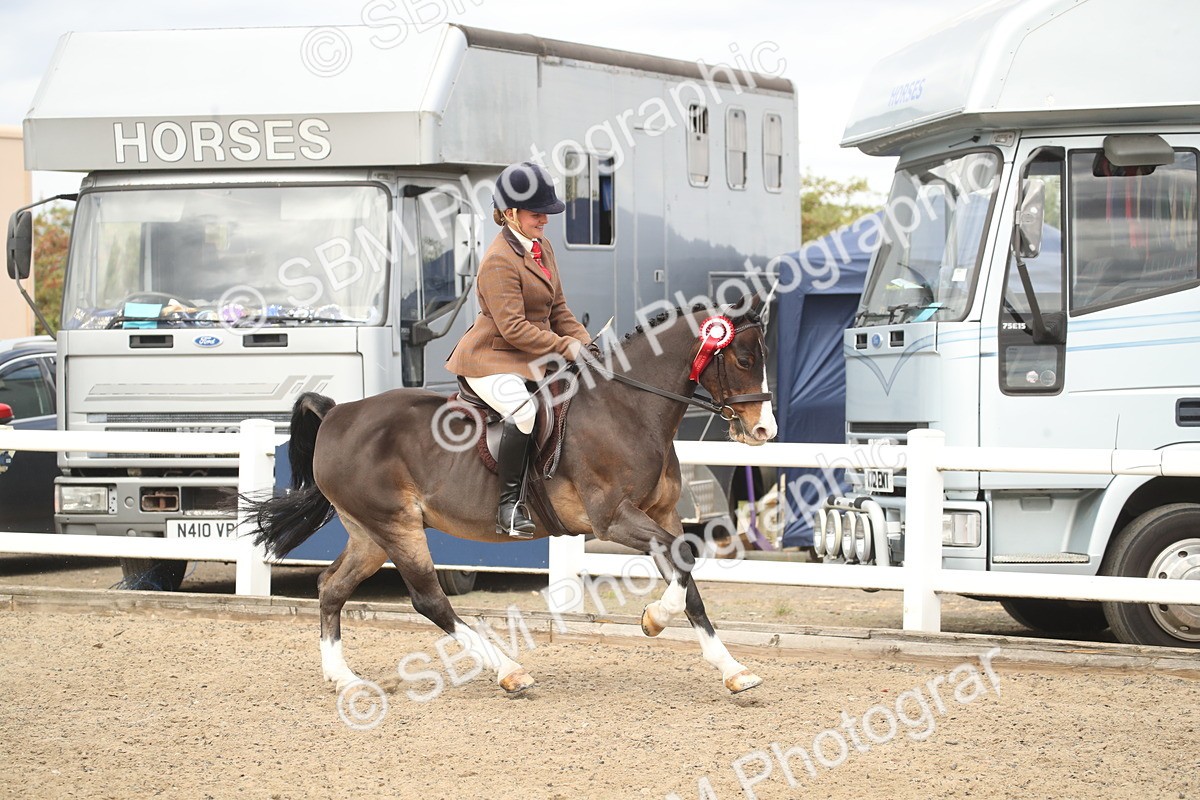 SBM_16577 - Class 506b - Working Veteran - 50cm (20+)