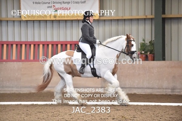 JAC_2383 - CLASS 3 NOVICE 1