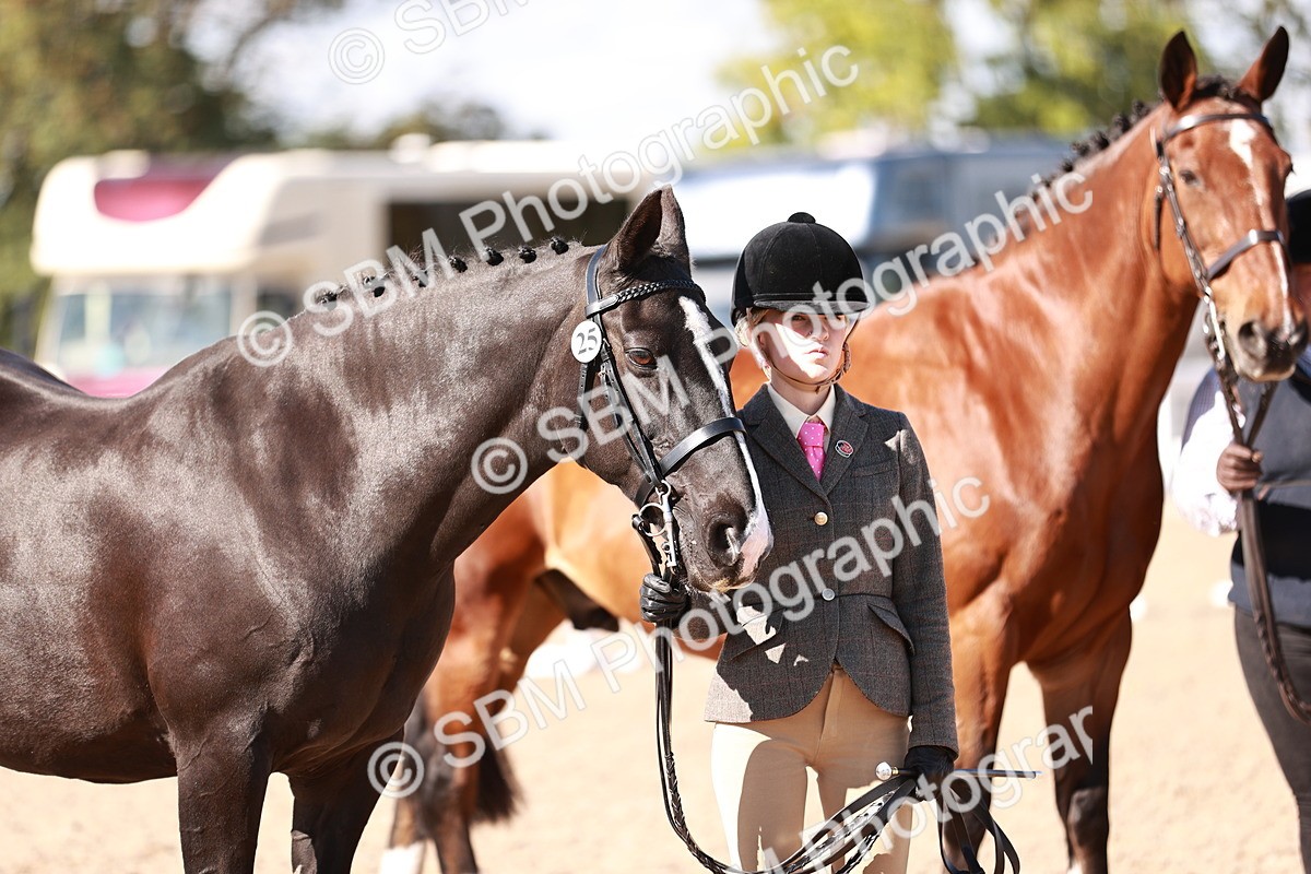 SBM_13339 - class 406 - IH Hunter