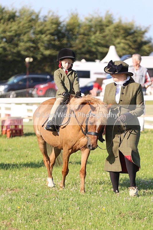 JPP_0870 - Class 16: Cornish Combination Leading Rein