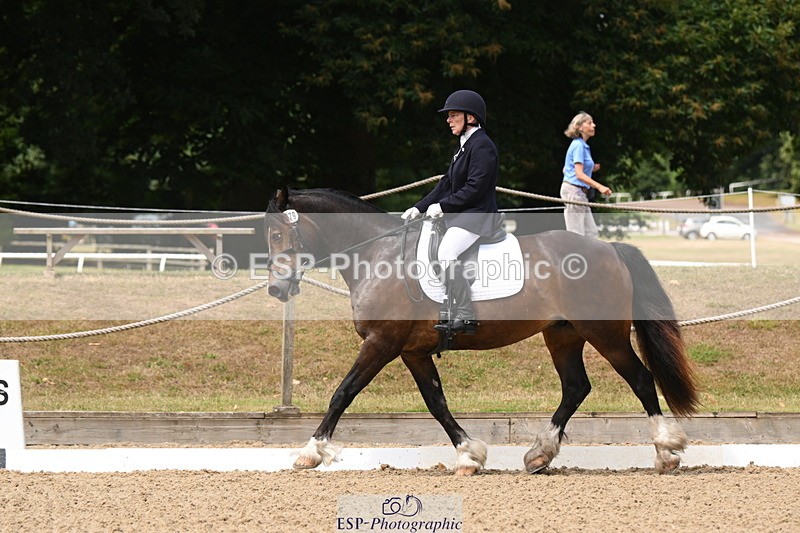 250720A-115746-10093 - 079-Amanda.Williams-Llanarth.Westminster