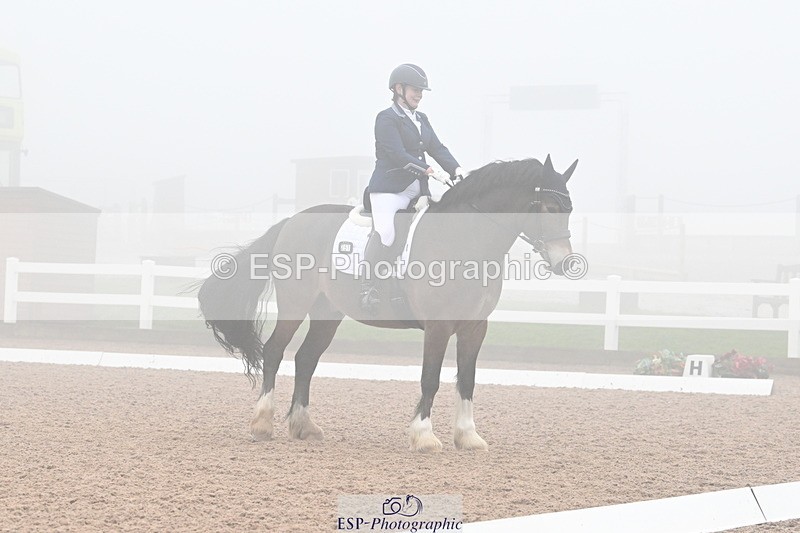 240217A-125859-02726 - 251-Alison.Crimp-Crwys.Beau