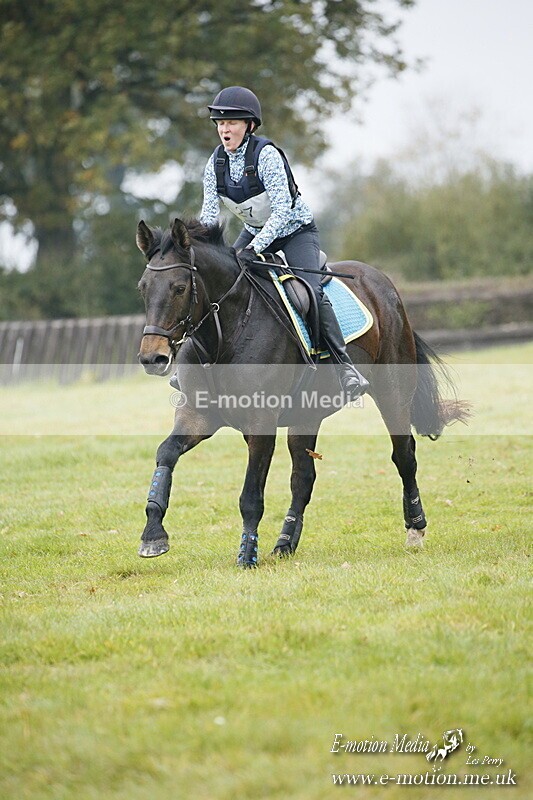 WWHT 181020 WWHT 181020 480 - WWEC Open Novice (0.80m) 18/10/20